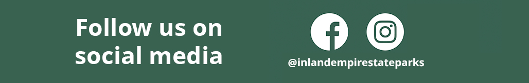 Social Media Banner